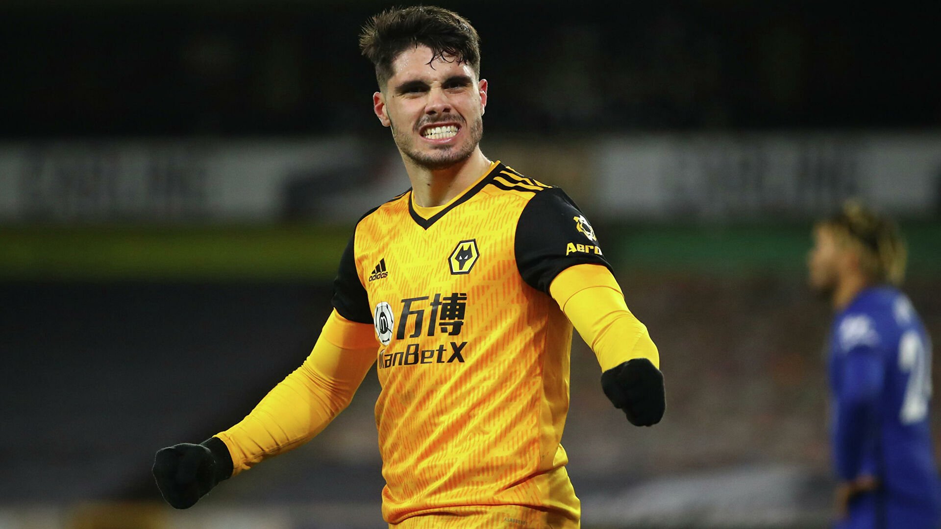 Նետուն լուրջ վնասվածք է ստացել