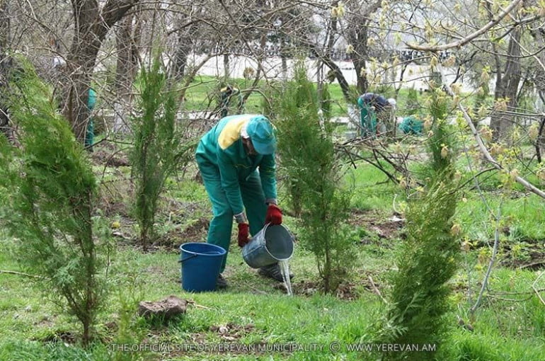 Գեղարքունիքի մարզում տնկվել է 10 հազար ծառ, հիմնականում՝ բարդի և սոճի