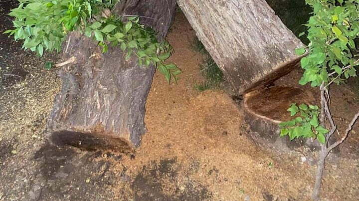 183451417_10221547553543938_5260349911209386633_n