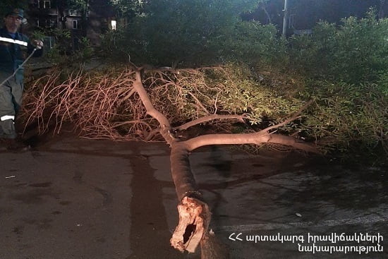 Ծառը ընկել է Վարդանանց փողոցի վրա ու միակողմանի փակել երթևեկությունը