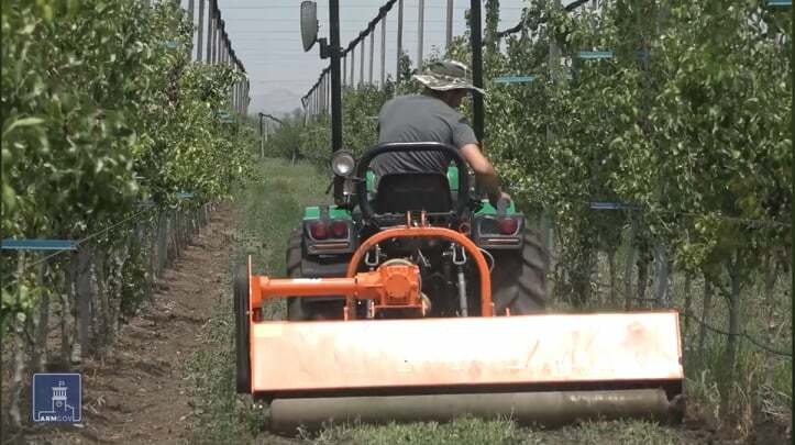 Պետությունը աջակցում է ինտենսիվ այգիներ կառուցել (ՏԵՍԱՆՅՈւԹ)