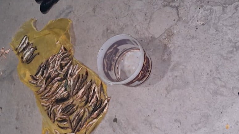 Բացահայտվել է որսագողության դեպք (ՏԵՍԱՆՅՈւԹ)