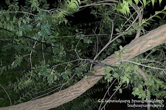 Գյումրիում ծառը քամուց կոտրվել ու հայտնվել է էլեկտրական լարերի վրա