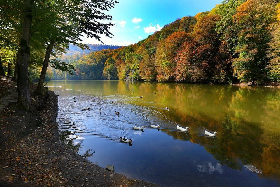 Պարզ լճին հարակից անտառում մոլորվել են 2 վենեսուելացիներ