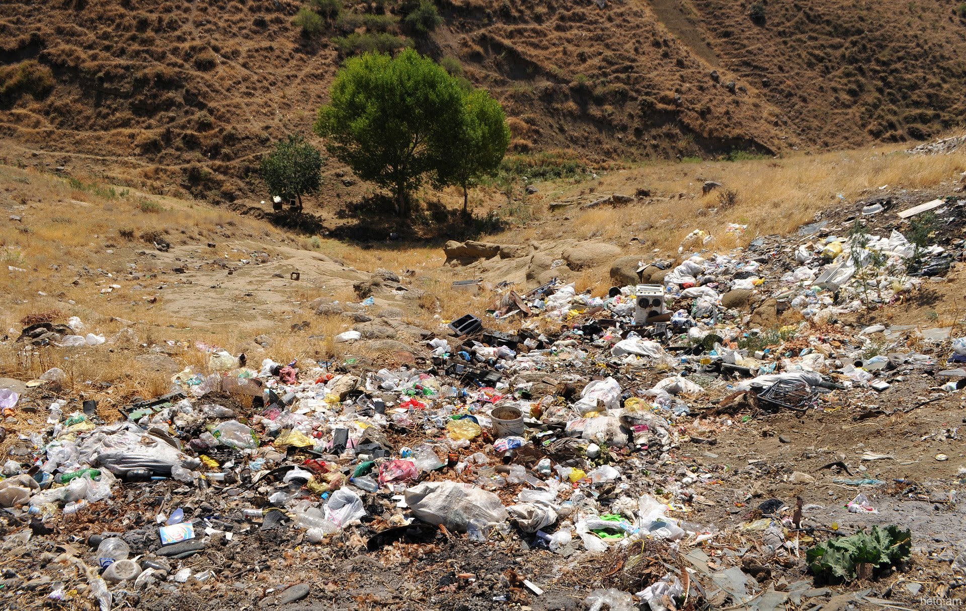 Շրջակա միջավայրին շուրջ 39 մլն դրամի վնաս է հասցվել․ ՇՄՆ