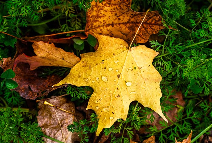 Ի՞նչ եղանակ սպասել