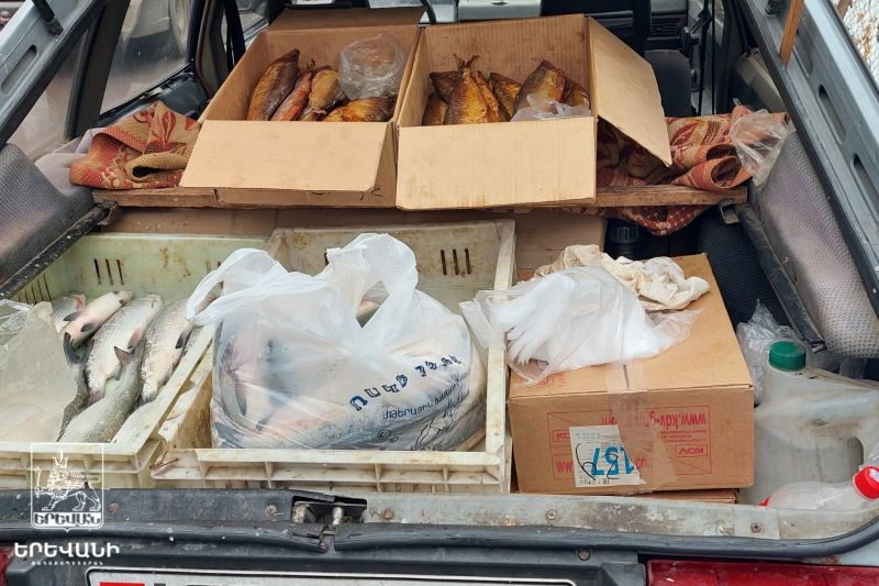 Երևանի փողոցներում հայտնաբերվել է սիգ ձկնատեսակի վաճառքի դեպքեր