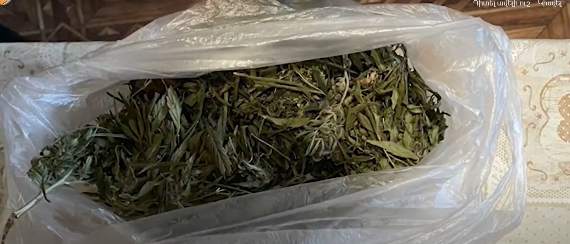 Նորապատ գյուղում թմրանյութ է հայտնաբերվել (ՏԵՍԱՆՅՈՒԹ)