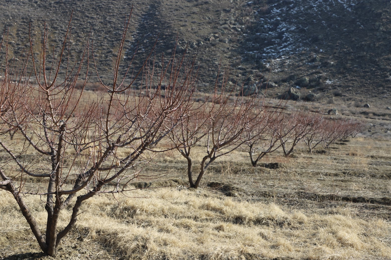 Վահան Քերոբյանը և նախարարի տեղակալը քննարկել են գյուղատնտեսության ոլորտում առկա խնդիրները
