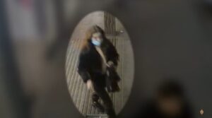 Ոստիկանություն փնտրում է պատկերված կինը (ՏԵՍԱՆՅՈւԹ)