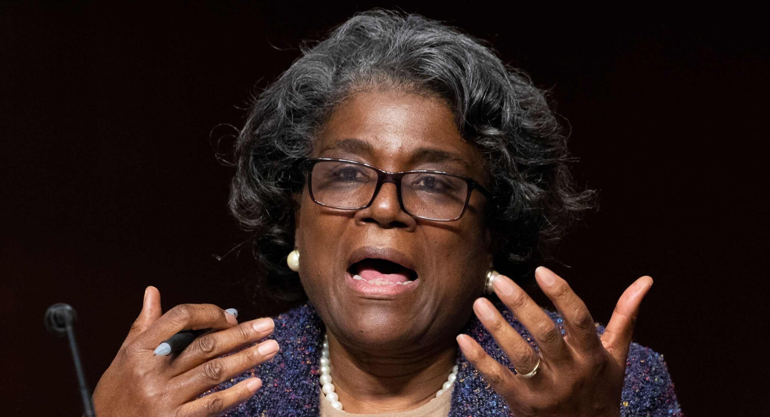 Չի ստացվի Ռուսաստանին զրկել ՄԱԿ-ի Անվտանգության խորհրդին անդամակցությունից․ ԱՄՆ դեսպան