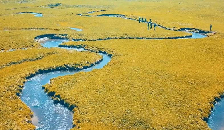 Սևանա լիճ թափվող 10 գետերի ափամերձ տարածքներում տնկվել է 1 միլիոն ուռենու և բարդու կտրոններ