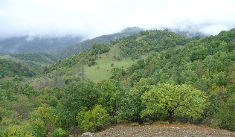 Պաշտոնեական դիրքի չարաշահում Հայանտառի նախկին տնօրենի կողմից