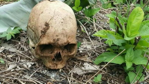 Առողջապահության նախարարի նախկին տեղակալի կողմից կաշառք ստանալու գործն ուղարկվել է դատարան