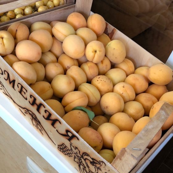 Ծիրանը փչանում է, լաստանավից նորություն չկա