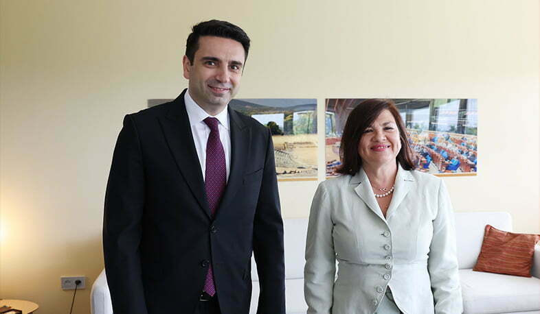 Ալեն Սիմոնյանը Ստրասբուրգում հանդիպել է ԵԽԽՎ գլխավոր քարտուղարի հետ