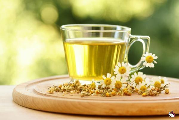 Թեյը, որը որոշ դեպքերում բավական վտանգավոր կարող է լինել