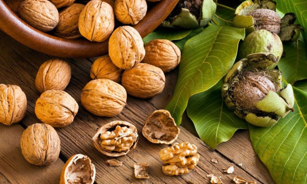 Հրապարակվել է «Մել» ֆիլմի թրեյլերը (ՏեՍԱՆՅՈՒԹ)