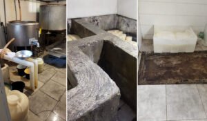 Կաթնամթերքի արտադրամասի գործունեությունը կասեցվել է