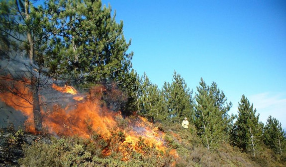 Խոսրովի արգելոց տանող ճանապարհին բռնկված հրդեհը մեկուսացվել է