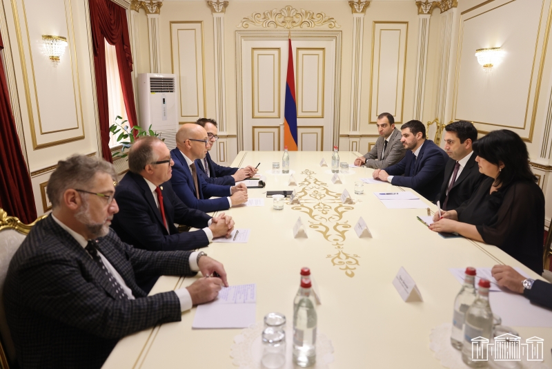 Ադրբեջանական զինված ուժերի դուրսբերումը ՀՀ ինքնիշխան տարածքից առաջնահերթ խնդիր է. Ալեն Սիմոնյանը՝ շվեյցարացի գործընկերներին