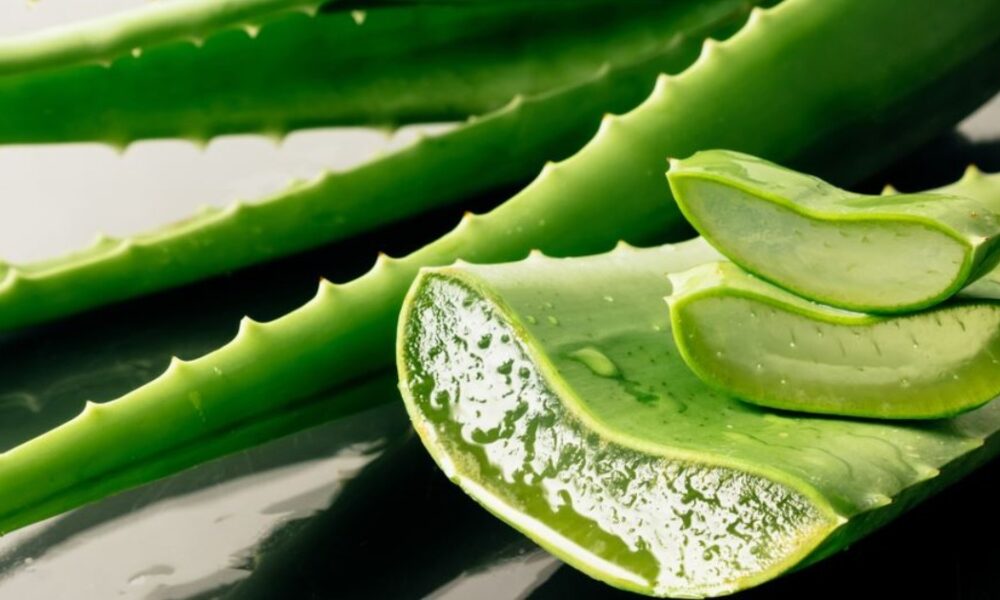 Երևանի քաղաքապետը նախապատվությունը տալիս է տարատեսակ թեմաների արծարծմանը․ Տոնոյան