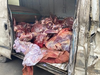 Կանխվել է 7 գլուխ ձիու մսի վաճառքը