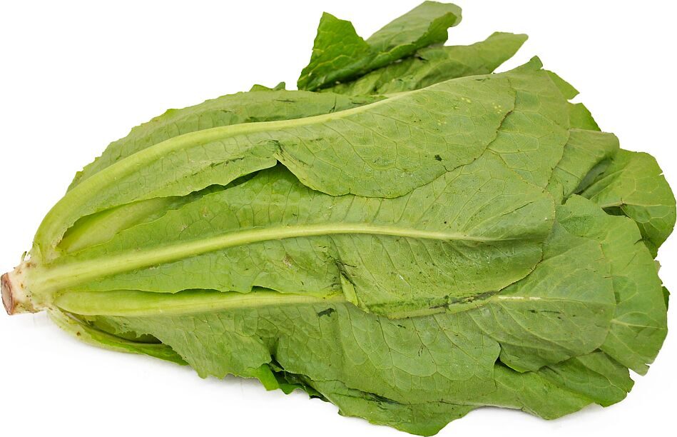 Հազարի օգտակար հատկությունների մասին