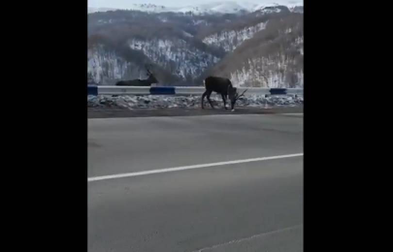 188683FE-6B87-4C29-835D-E34FE538EC32