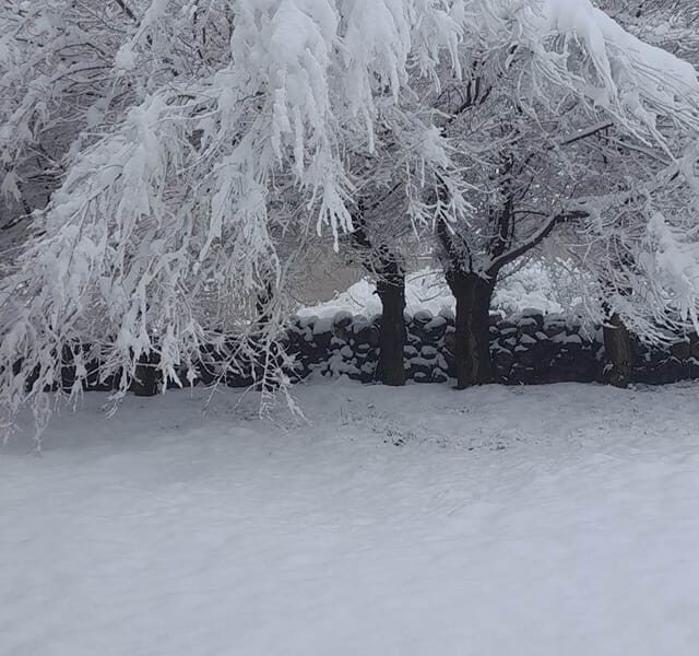 Գագիկ Սուրենյանը հրապարակել է Արագածոտնի մարզի մայիսյան ձմեռից մի կադր