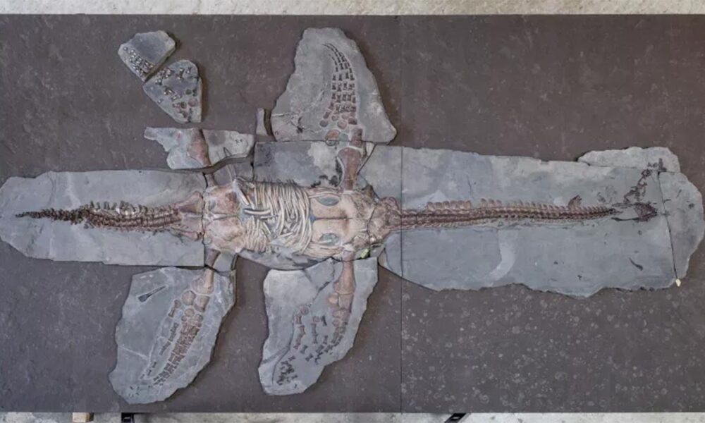 news_8314499413543__VAG5541s