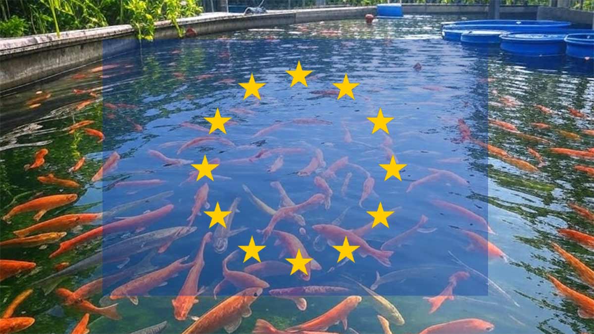 Հայաստանը հնարավորություն կստանա բարձրորակ ձուկ և ձկնամթերք արտահանել Եվրամիություն