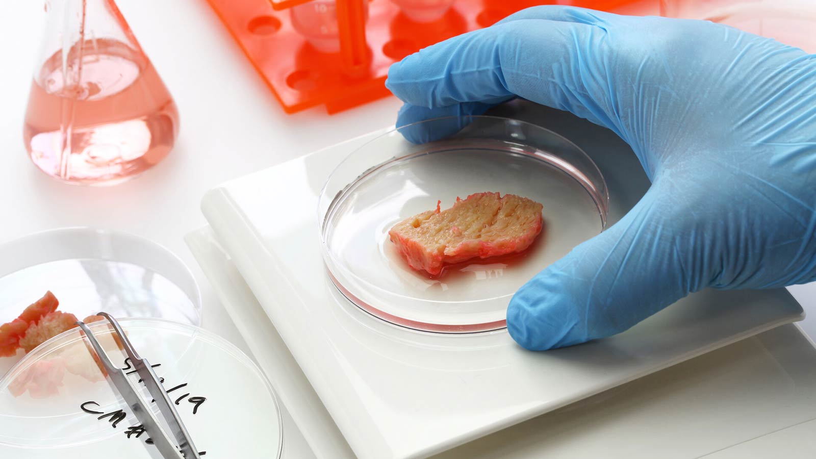 Եվրոպական տիեզերական գործակալությունը փորձարկում է լաբորատոր սննդի արտադրությունը տիեզերքում