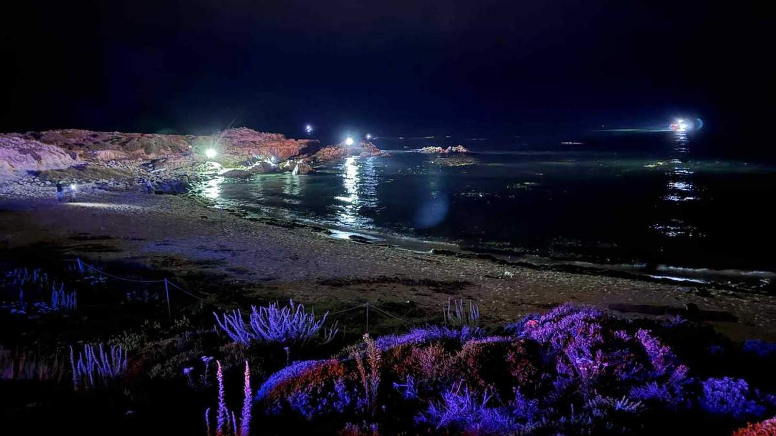 Երկշարժիչ մասնավոր ինքնաթիռը վթարի ենթարկվեց Փասիֆիկ Գրովի ափերի մոտ շաբաթ երեկոյան՝ խլելով բոլոր երեք ուղևորների կյանքը։ Իշխանությունները շարունակում են հետաքննել դեպքի պատճառները։