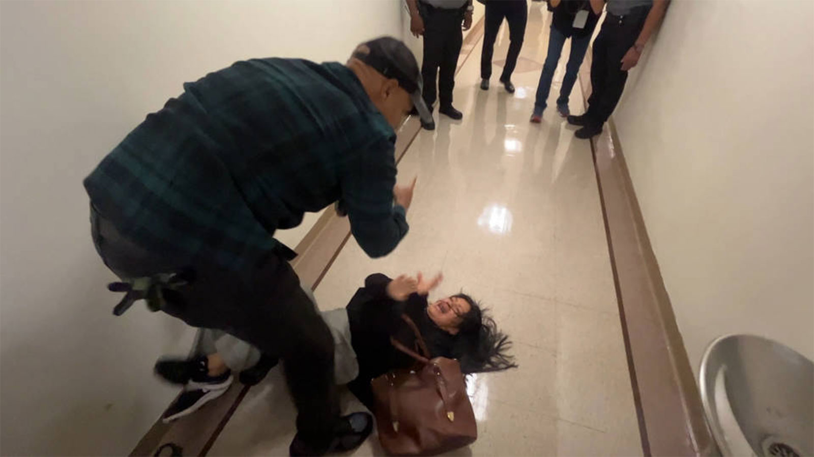 Նյու Յորքում ICE-ի աշխատակցի բռնության դեպքը ավարտվում է հազվադեպ պատժամիջոցով