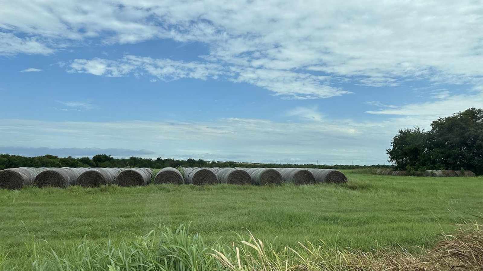 Տեխասի անշարժ գույքի արգելքը թշնամական երկրների համար՝ հետևանքներ և հակասություններ