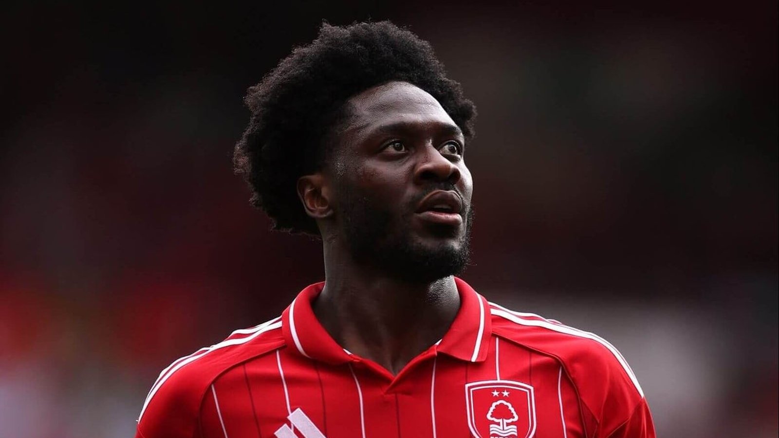 Անժ Պոստեկօղլուի համարձակ նոր փուլը Նոթինգհեմ Ֆորեսթում