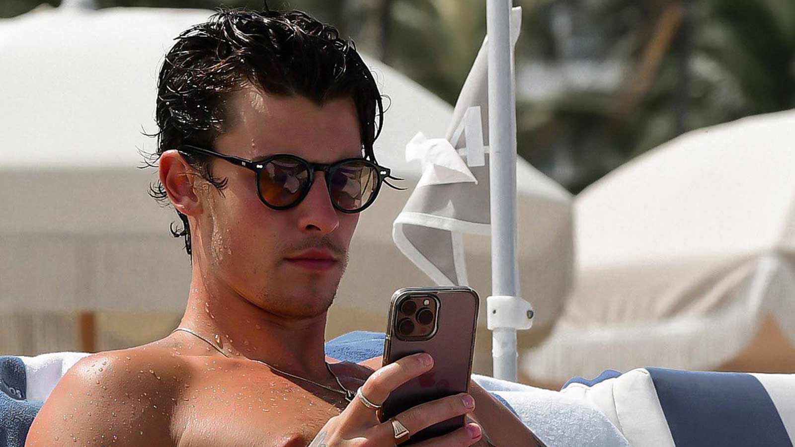 Շոն Մենդեսի ճանապարհը՝ երաժշտություն, պաշտպանություն և աճ