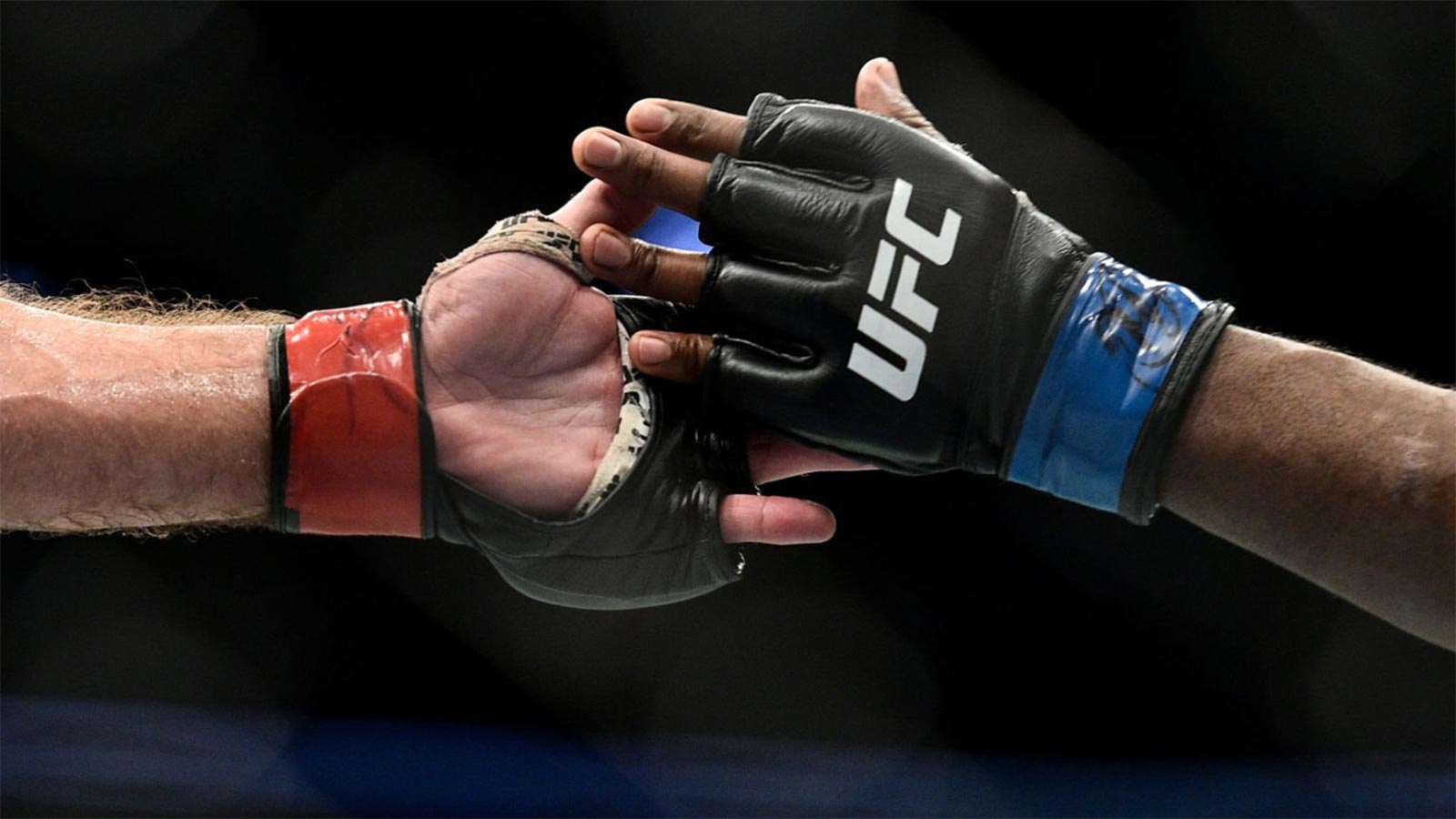 Streameast․ UFC 321-ը ուղիղ հեռարձակմամբ․ Ինչպե՞ս են երկրպագուները դիտում, ինչ ռիսկեր ու օրինականություն կա