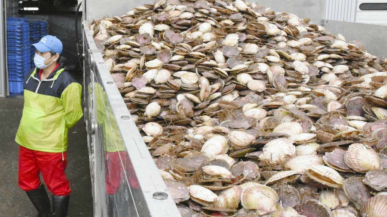 China Suspends Japanese Seafood Imports Amid Escalating Taiwan Dispute