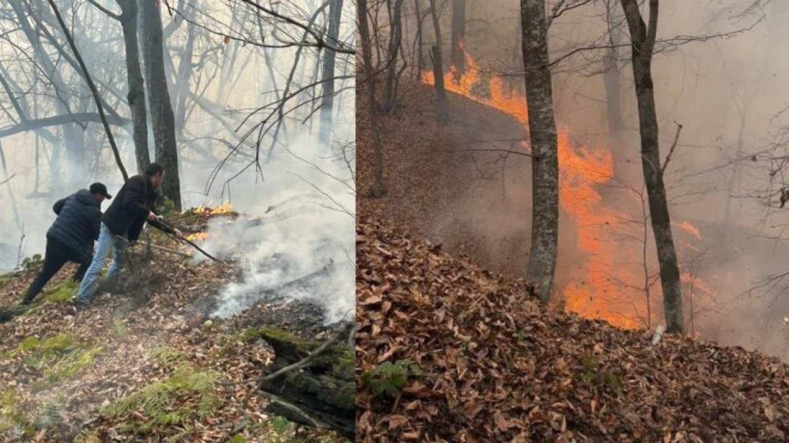 Դիլիջանի հրդեհը մասամբ մեկուսացվել է, բայց առկա խնդիրներն անհանգստացնում են շատերին