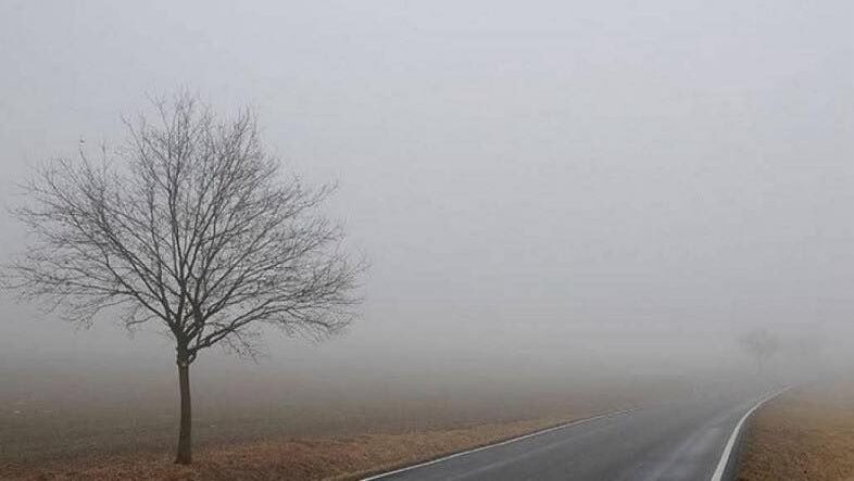 597320777_1260505459445004_8453367426843474515_n