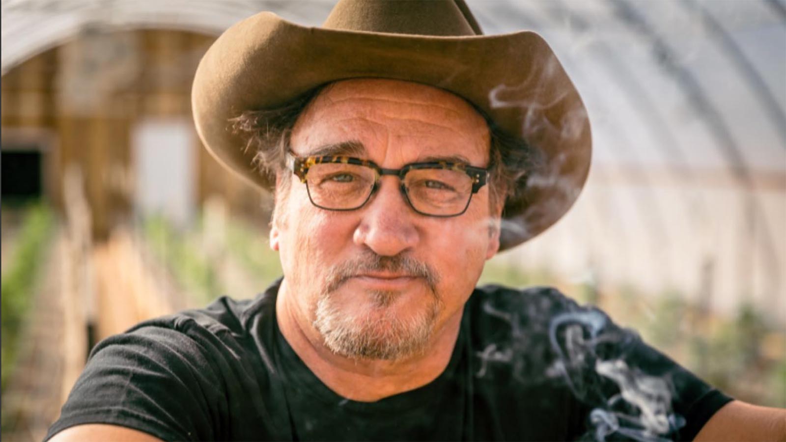 Jim Belushi Expands Cannabis Legacy in New Jersey: Brands, Blues Brothers, and Authentic Advocacy