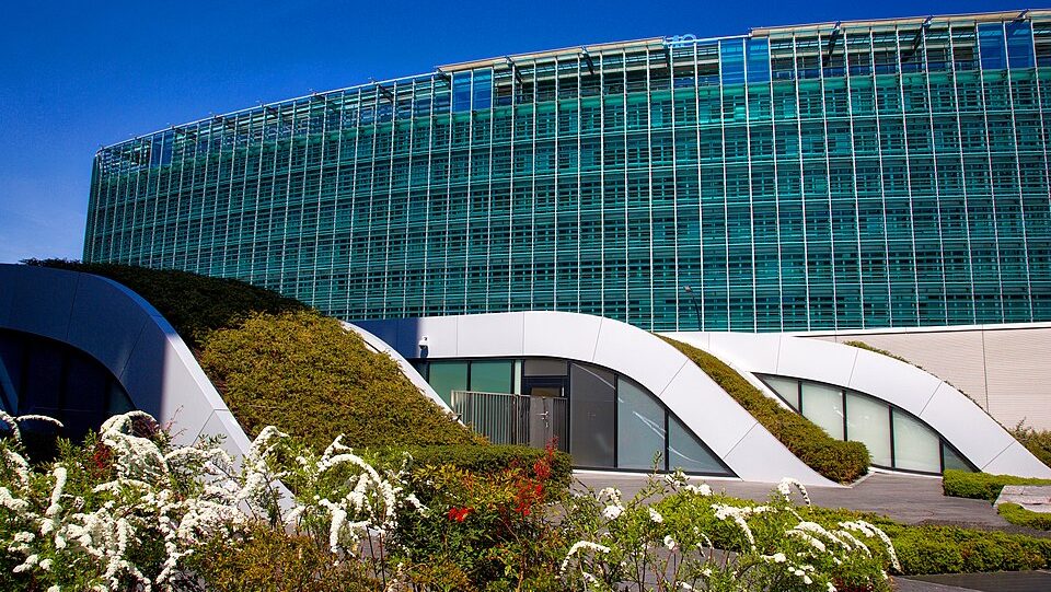 2025-2026 թթ. ձմռան կանխատեսումները մասնագետների կողմից