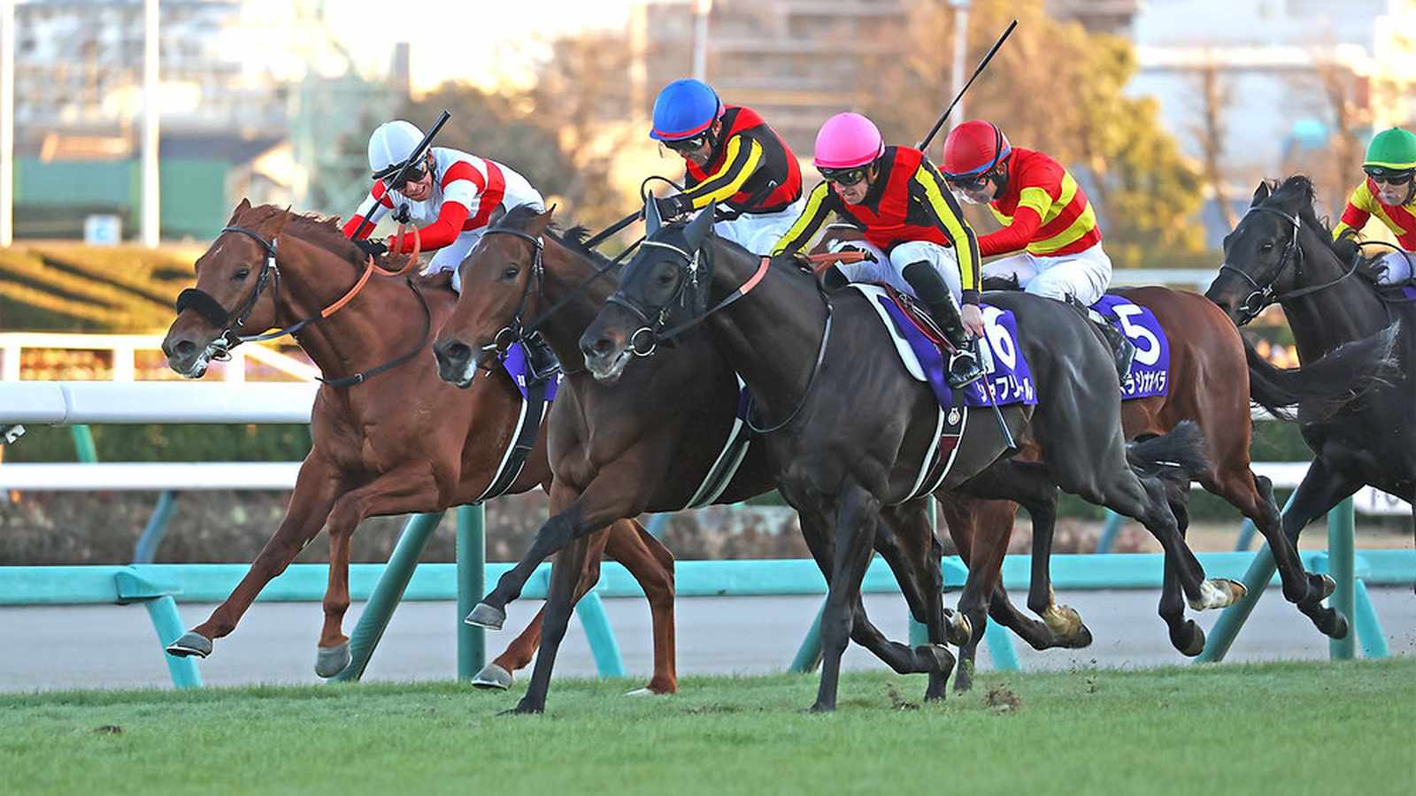 regaleira arima kinen win