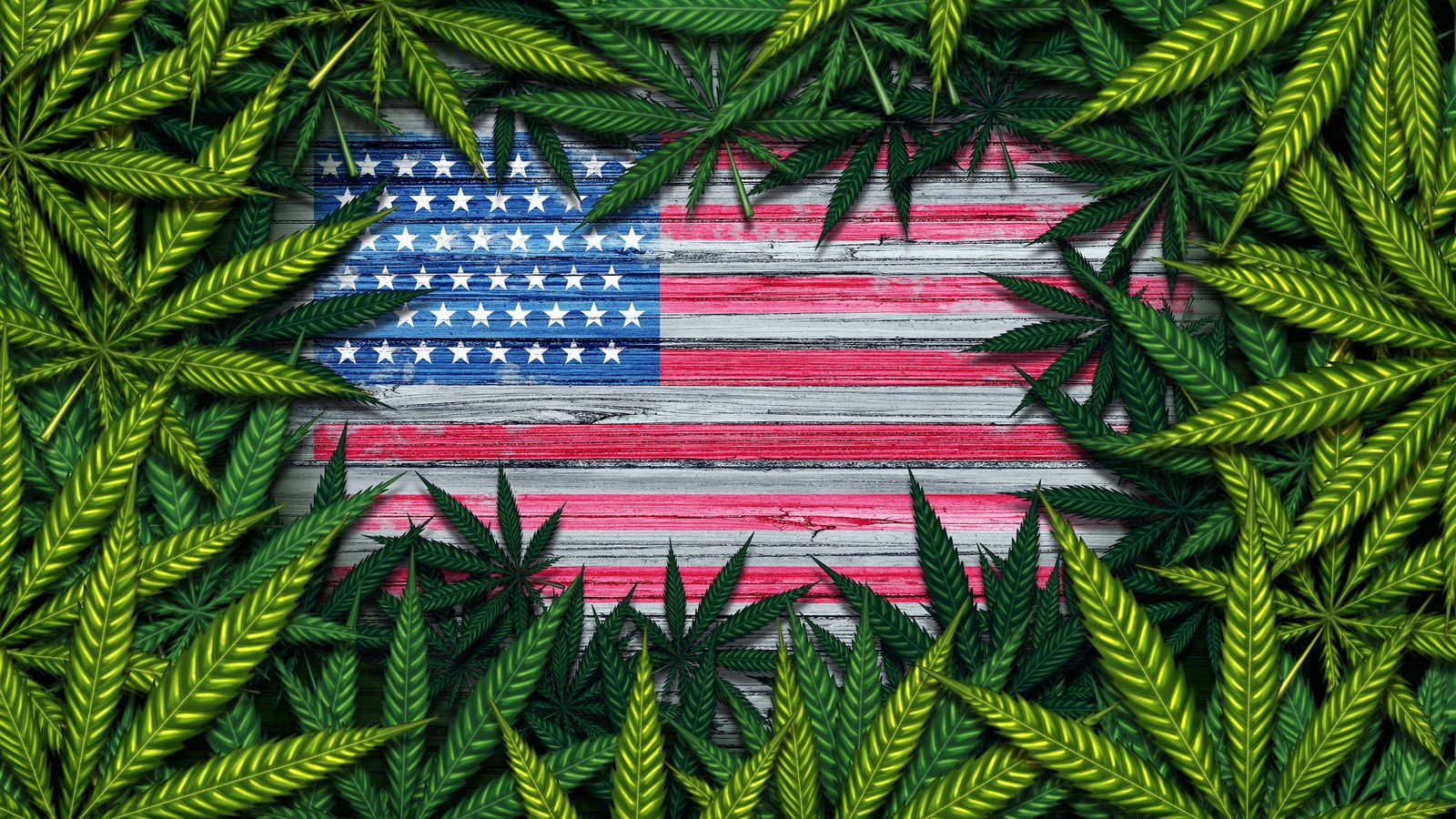 Weed stocks, led by Canopy Growth, soared after reports that President Trump plans to reclassify marijuana as a less-res