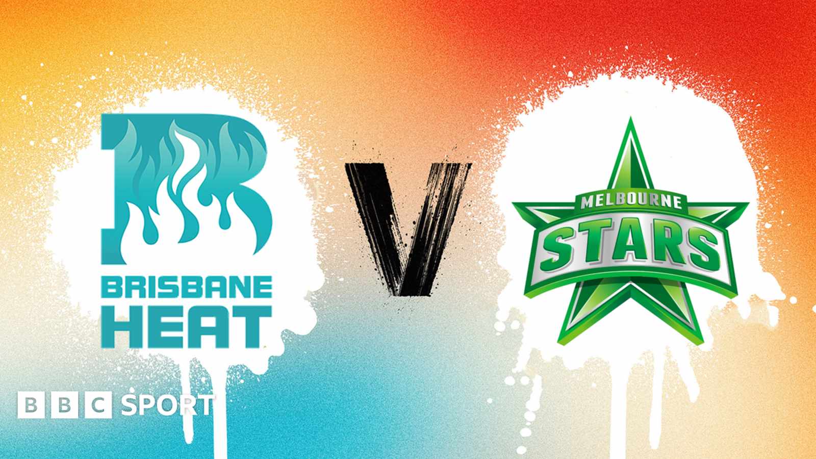 Cricket players celebrate win