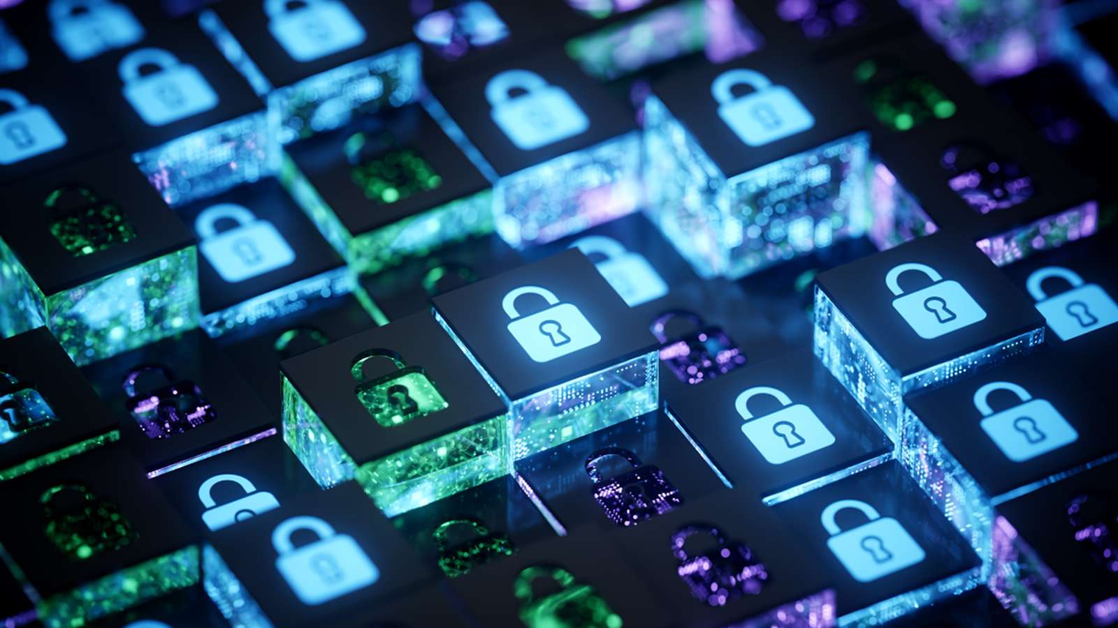 Digital shield protecting network