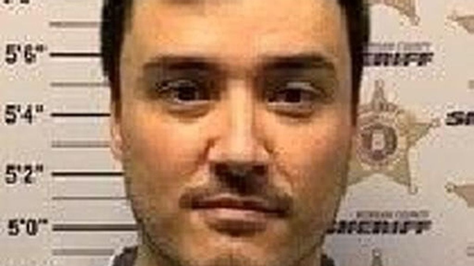 Woman smiling, professional headshot