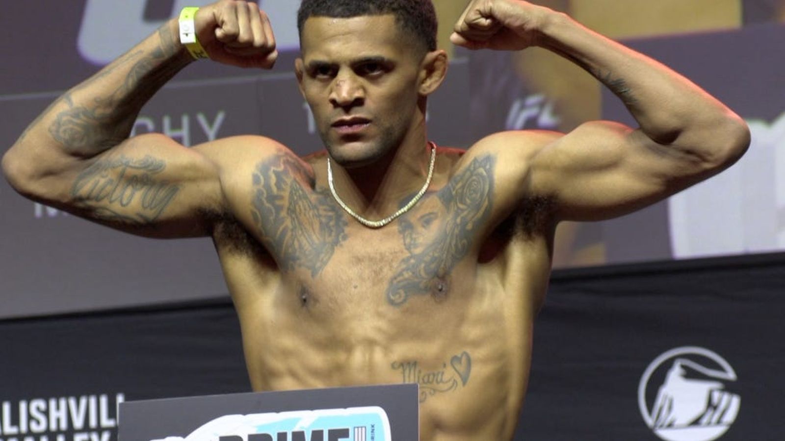 Patchy Mix in fighting stance